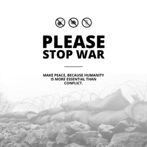 War in Democratic Republic of Congo: Impact in the global market of raw material.